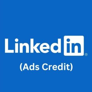 LINKEDIN ADS CREDITS ($100)